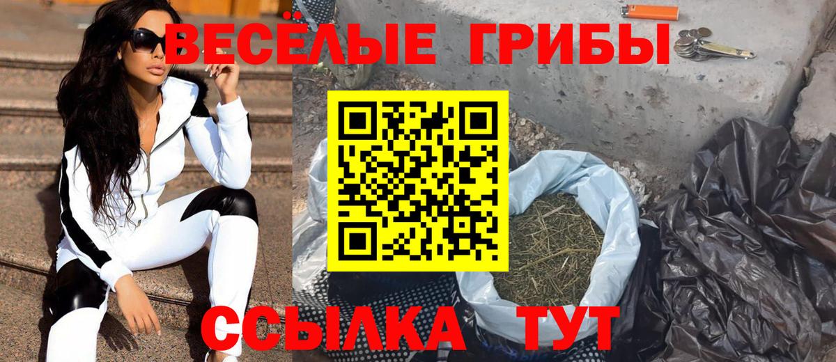Галлюциногенные грибы GOLDEN TEACHER  Вход с VPN  дарнет шоп  Псилоцибиновые грибы мухоморы  Клин 